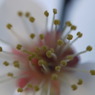 P1060262