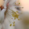 P1060275