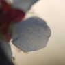 P1060217