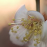 P1060274