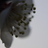 P1060277