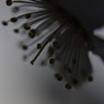 P1060285