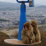 展望台２０１０