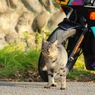 同じポーズ？