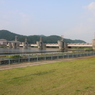 のどかな朝の鳴鹿大堰