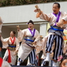 堺よさこいかえる祭り⑤夢舞隊さん