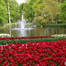 キュウケンホフ公園Keukenhof4