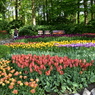 キュウケンホフ公園Keukenhof2