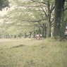 雨上がりの公園にて⑤