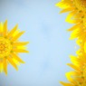 夏の予感ギラギラ！１