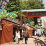 DSC02461