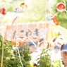 DSC02470
