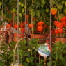 DSC02474