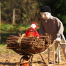 孫と一緒