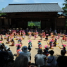 ささら踊り奉納〔別所神社）[岳の幟１４]