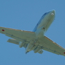 JASDF U-125A 22-3019