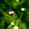 ３月２日