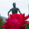20150705-IMG_9401