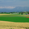 農村風景５