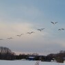 空を舞う　－５