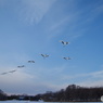 空を舞う　－６