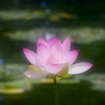 三行三様