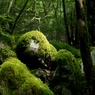 山犬嶽1