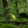 山犬嶽5