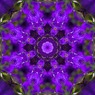 Flower Fairy３