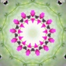 Flower dish１