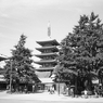 東京5