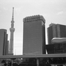 東京16