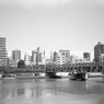 東京19