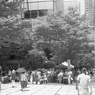 東京29