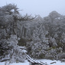 屋久島の冬