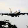 Singapore A380-841 着陸　
