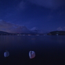 Swan Lake