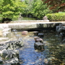 福井県総合グリーンセンターを散策してみた～庭園風の川・小さな噴水～