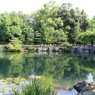 福井県総合グリーンセンターを散策してみた～水生植物園右側風景～