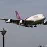 ☮　成田空港　・　さくらの山　☮
