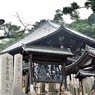 「奈良公園」撮歩09