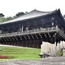 「奈良公園」撮歩10
