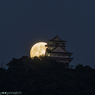 真夏の夜の夢