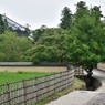 「奈良公園」撮歩16