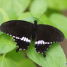 生物園ー14
