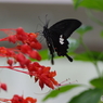 生物園ー15
