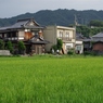 故郷の夏-⑮