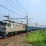 北斗星