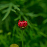 ３月８日