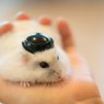 On the hand